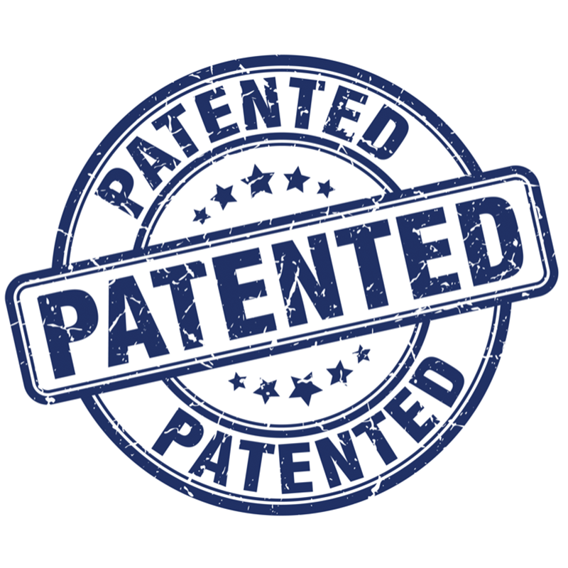 Patent Granted Delko® Holster